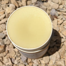 Load image into Gallery viewer, Large Bug Off Lotion Stick